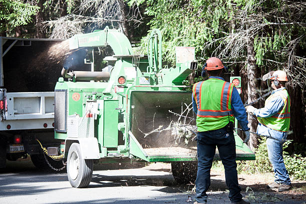 Burns Harbor, IN Tree Services Company